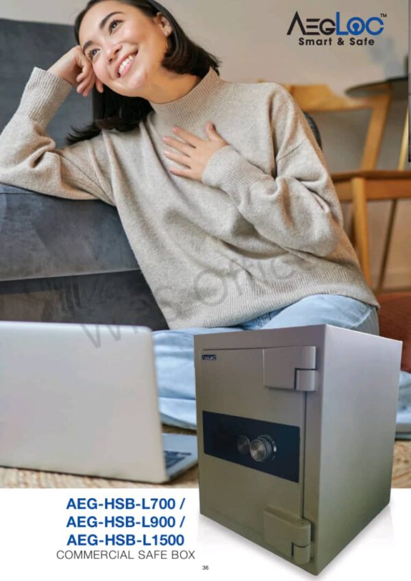 AEG-HSB-L900