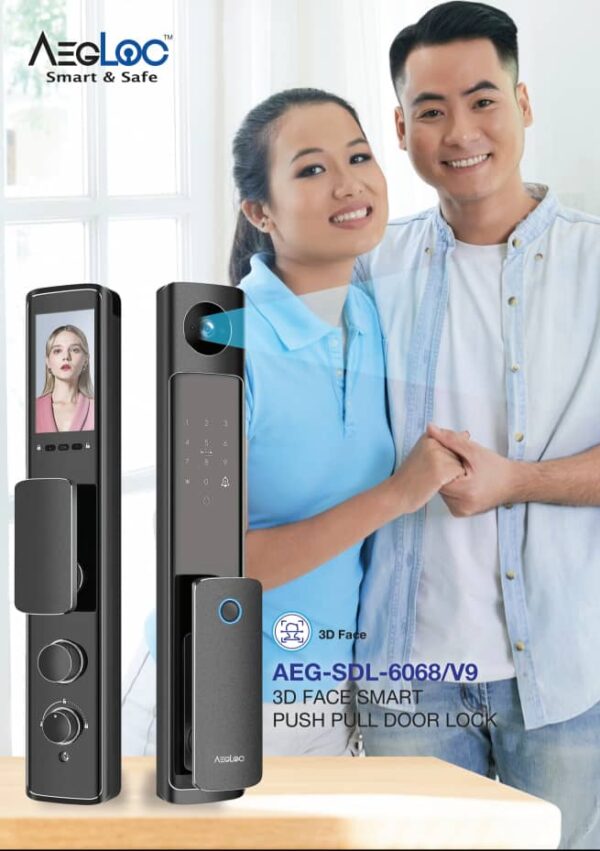 AEG-SDL-6068/V9