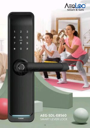 AEG-SDL-E8560 (BLACK)